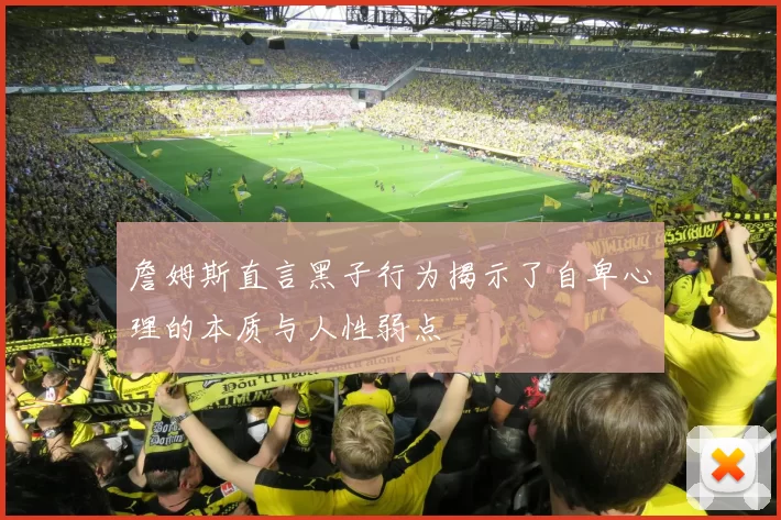 詹姆斯直言黑子行为揭示了自卑心理的本质与人性弱点