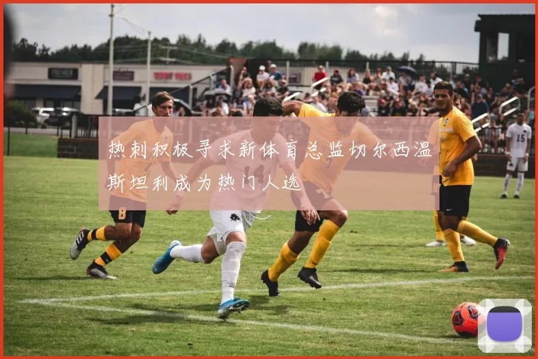 热刺积极寻求新体育总监切尔西温斯坦利成为热门人选